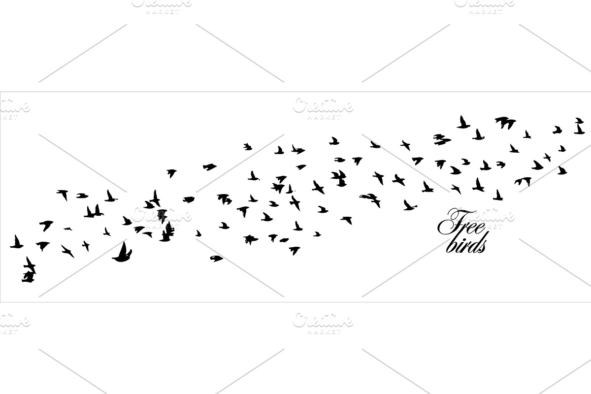 A flock of flying birds. Free birds, an Illustration by Nenahliadava Design