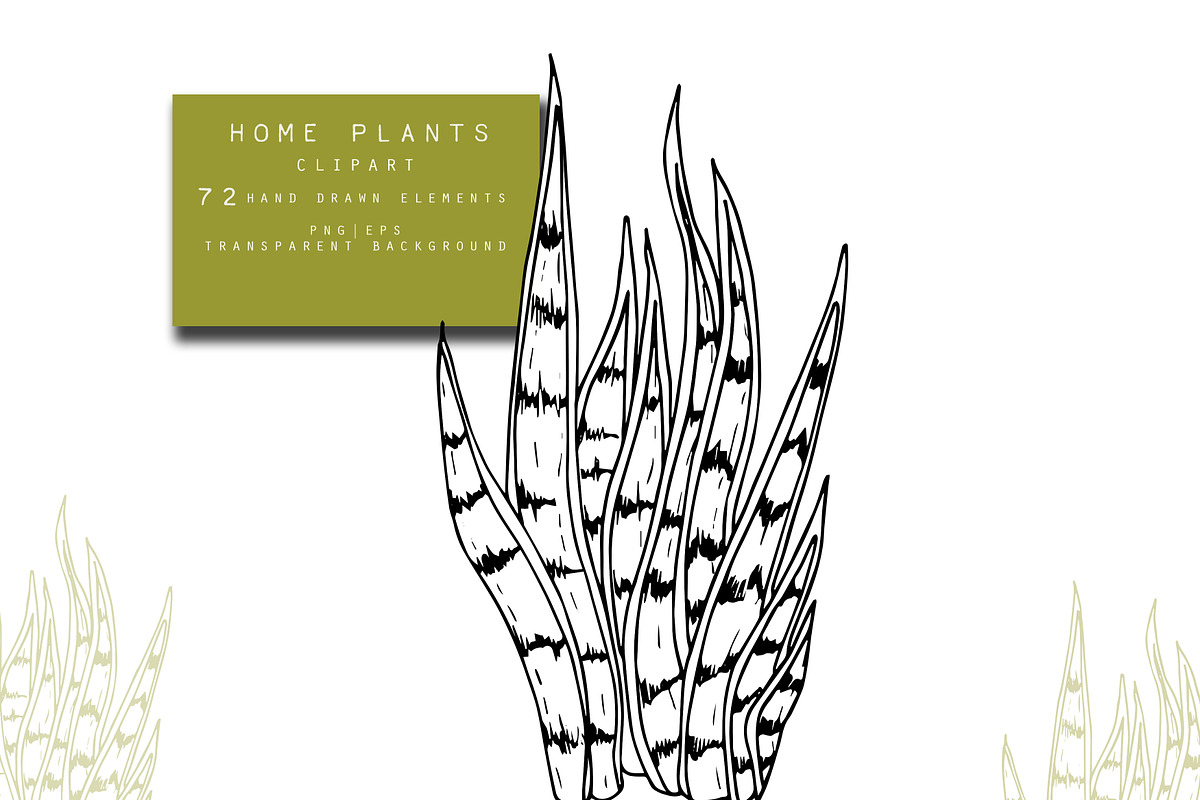 Home Plants Clipart Collection, a Graphic by Hand drawn Boutique (Photo 10 of 10)