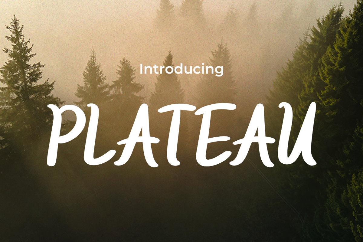 PLATEAU, a Serif Font by Pinisi ART (Photo 1 of 10)