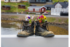 Pair of old hiking boots turned into, a Nature Photo by Backyard Stock