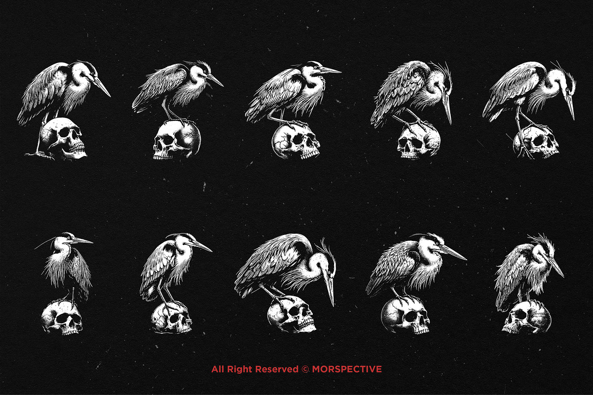 10 Bundle Dark Art Heron Bird Skull, an Illustration by Morspective (Photo 6 of 7)