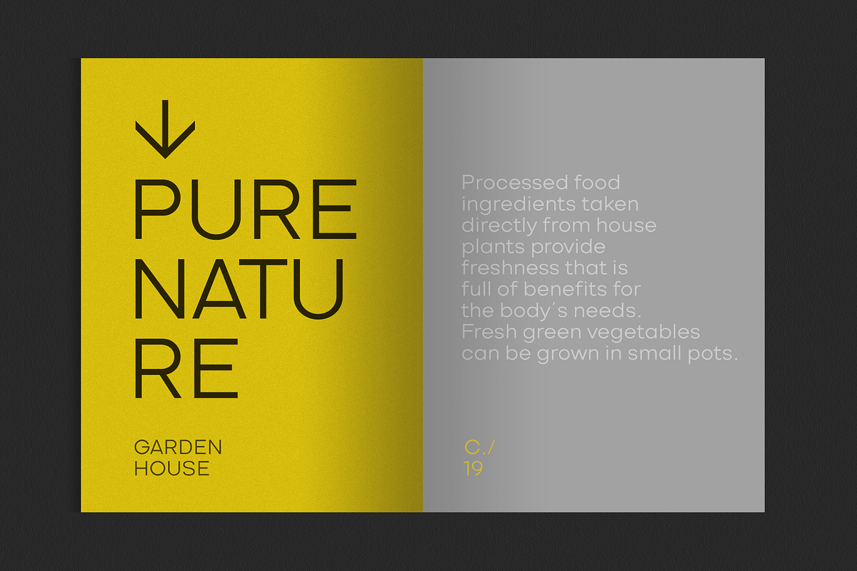 Vilonti, a Sans Serif Font by OWL KING (Photo 5 of 10)