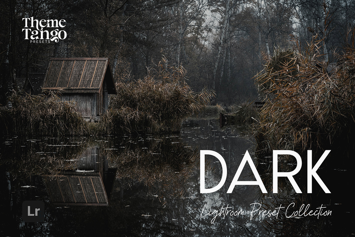 14 Dark and Moody Lightroom Presets, a Preset Add-On by ThemeTango (Photo 1 of 10)