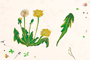 Cute Crayon Child Dandelion Flower, a Healthcare Illustration by Lucyinyourheart (Thumbnail 2 of 6)