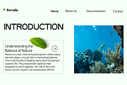 Caitog – Sans Font Family, a Sans Serif Font by NDNL Studio (Thumbnail 4 of 10)