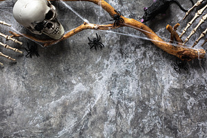 Halloween background with spooky skull, tree branch with web, spiders, black ra