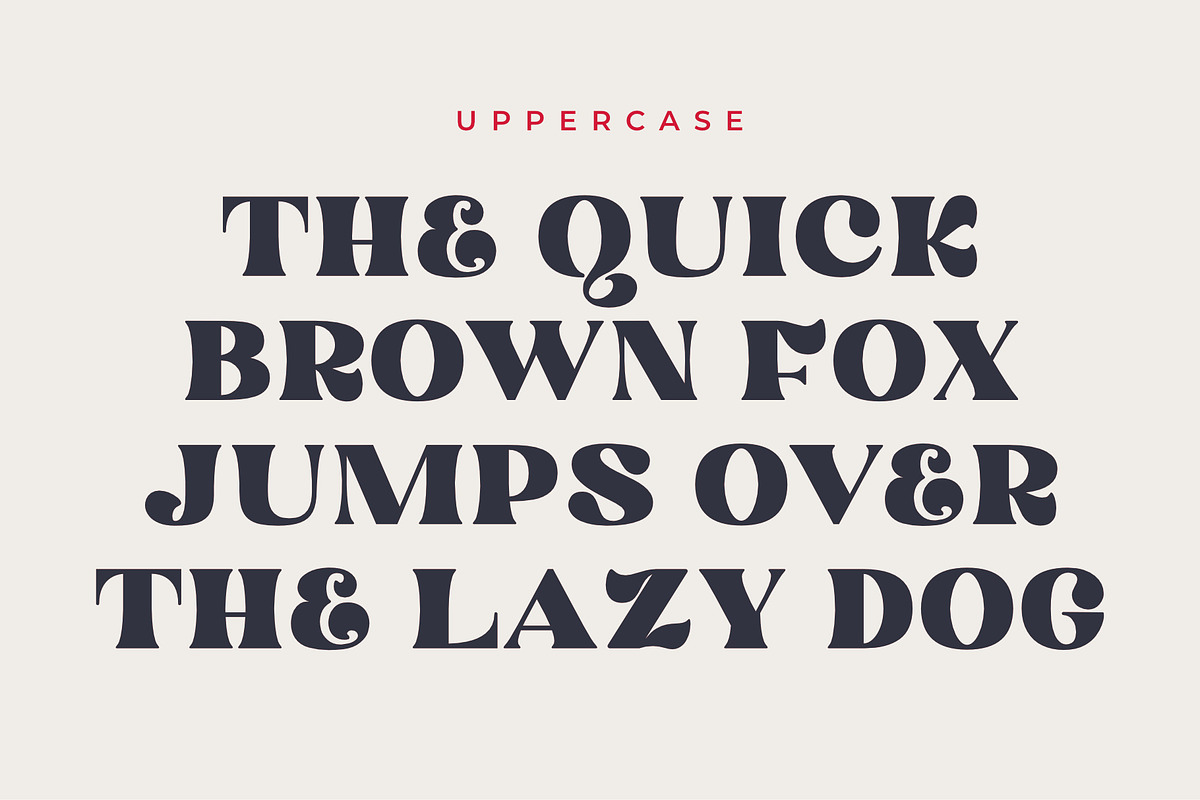 Mogesta | A Modern Display Serif, a Serif Font by Andrimada Creative (Photo 6 of 15)