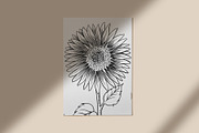 Sunflower clipart collection, an Illustration by Gennadi Digital Studio (Thumbnail 6 of 7)