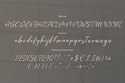 The Morteffis | Modern Calligraphphy, a Script Font by Denustudios (Thumbnail 13 of 15)
