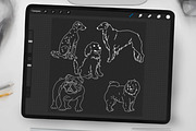 Dog Digital Stamps, a Graphic by Favorites_Art (Thumbnail 11 of 15)