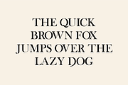Dyntra - Modern Serif Font, a Font by HAN (Thumbnail 4 of 10)