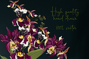 Hand drawn vector orchids, a Decorative Illustration by FleurArt (Thumbnail 9 of 11)