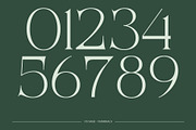 CS Sage – Art Nouveau Font, a Serif Font by Craft Supply Co. (Thumbnail 6 of 8)