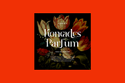 Agrabion - Elegant & Stylish Serif, a Serif Font by RockboyStd (Thumbnail 7 of 12)