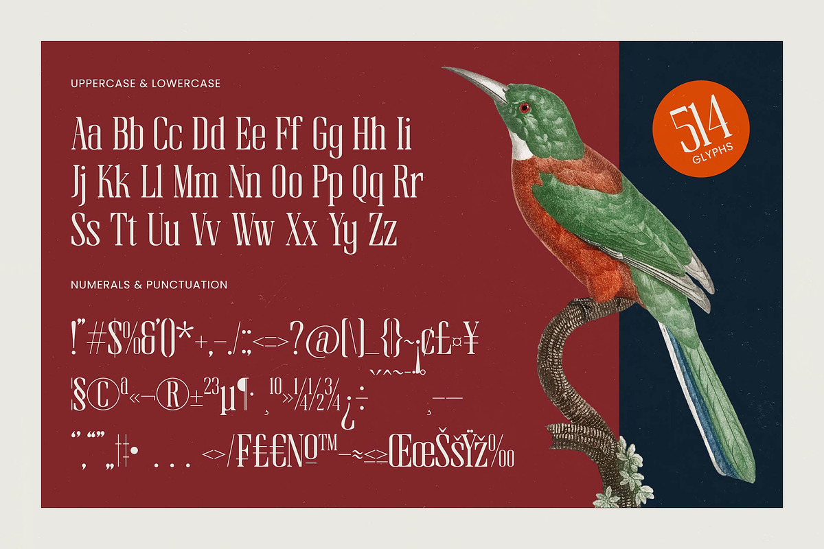 Broswick Bold Tall Display Serif, a Serif Font by timelesstype.co (Photo 19 of 20)