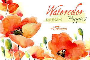 Watercolor Poppies.Flowers Set Bonus