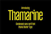 Thamarine Condensed Sans Font, a Sans Serif Font by PeanutButter Type (Thumbnail 1 of 9)
