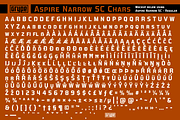 Aspire Narrow SmallCaps Family, a Sans Serif Font by GRYPE (Thumbnail 6 of 6)