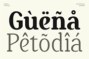 Nakota - Modern Clean Serif Font, a Serif Font by Pekotype (Thumbnail 5 of 15)