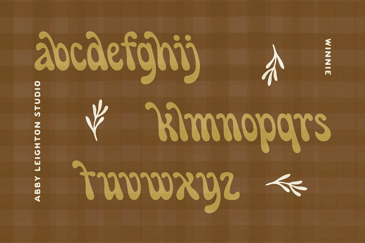 WINNIE by Abby Leighton, a Sans Serif Font by Abby Leighton Studio (Photo 2 of 3)