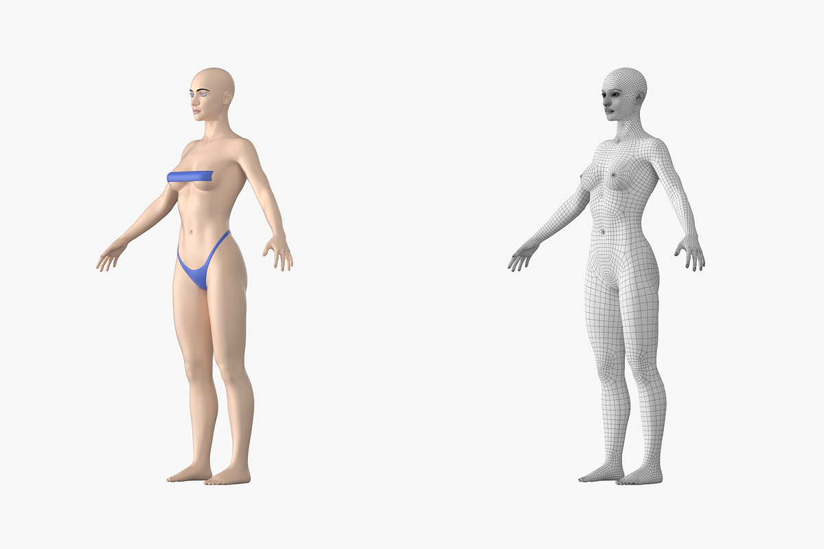 Natural Female 01 A-Pose Base Mesh, a Characters & Person 3D Model by VK Studio (Photo 10 of 26)