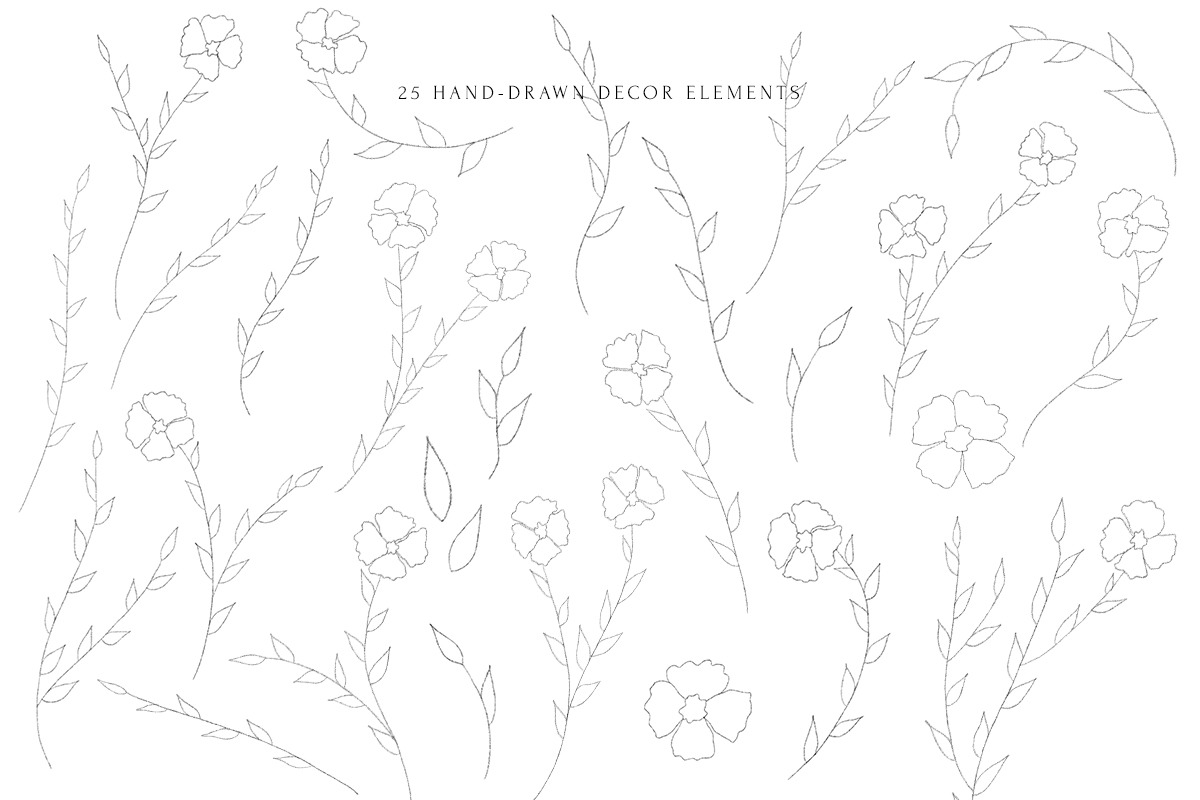 Mattiola font Floral illustrations, a Symbol Font by Alice_Evans (Photo 4 of 11)