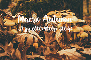 Macro Autumn photo bundle, a Templates & Theme by ApertureVintage (Thumbnail 16 of 21)