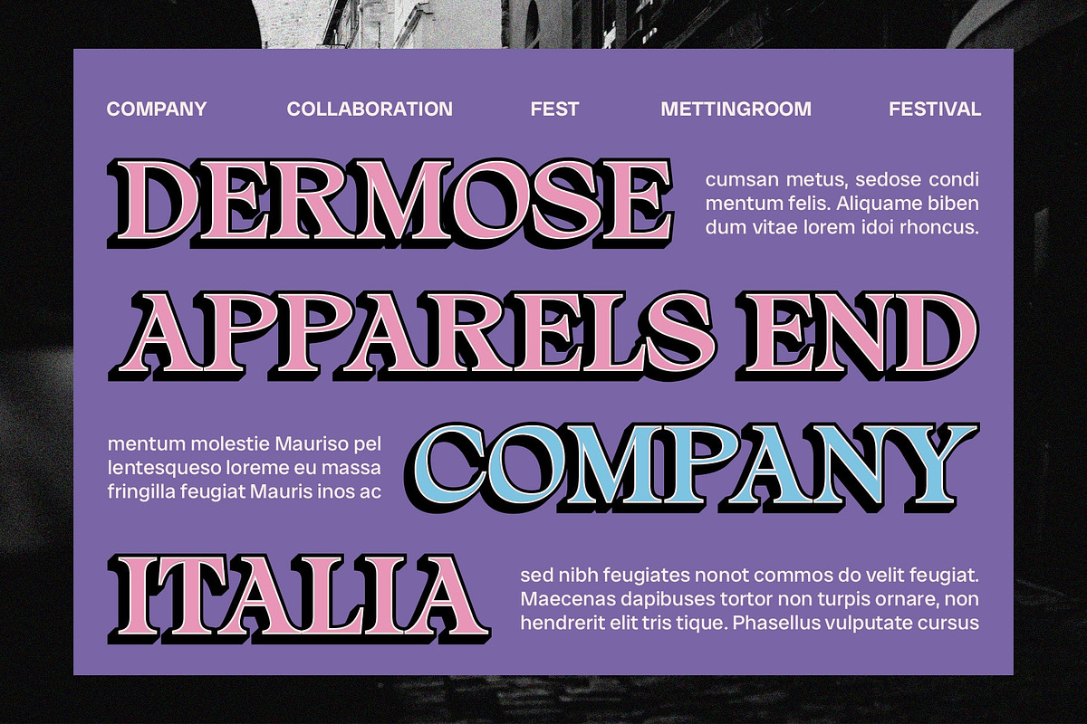 Alvinus 3D, a Serif Font by Craft Supply Co. (Photo 3 of 8)