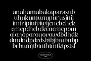 Chaviera, a Serif Font by INKSUN™ (Thumbnail 11 of 13)