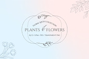 Plants and Flowers, a Branding & Logo Template by Genestro Shop (Thumbnail 1 of 8)