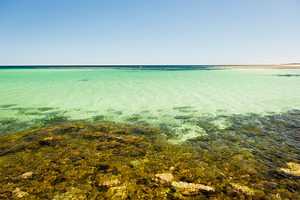Tropical Ocean, a Nature Photo by THP Creative