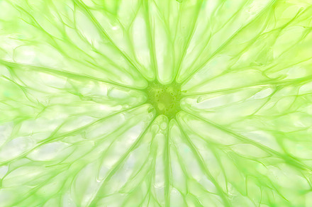 lime fruit background, a Photo by WorldPhotos
