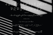 Lemigal - Signature Brush, a Handwritten Font by executypeStudio (Thumbnail 6 of 6)