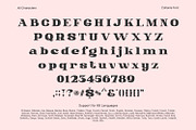 Collonie, a Serif Font by yumnatype (Thumbnail 9 of 10)