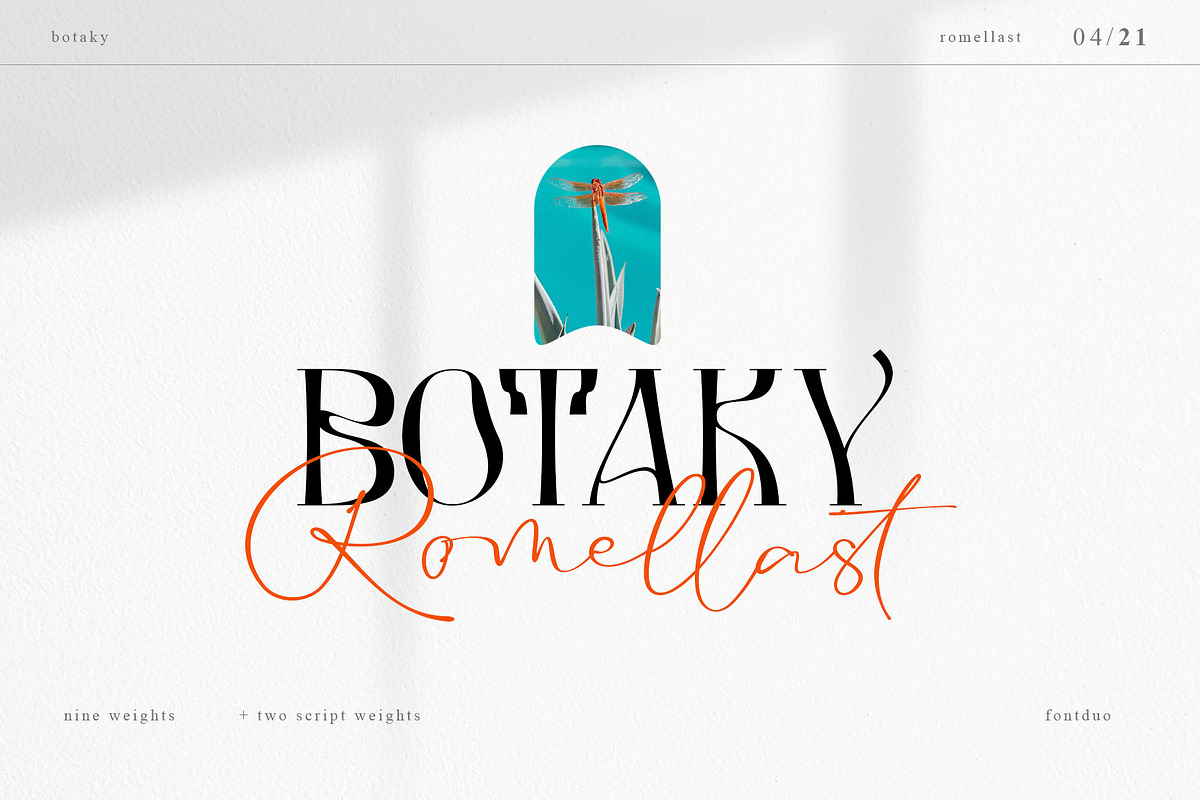 BOTAKY Romellast, a Serif Font by alit design (Photo 1 of 19)