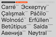 TT Commons Pro Basic, a Sans Serif Font by TypeType (Thumbnail 7 of 15)