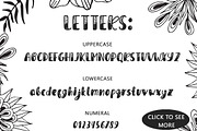 Magical Powder - typeface & elements, a Script Font by Kseniya_design (Thumbnail 3 of 7)