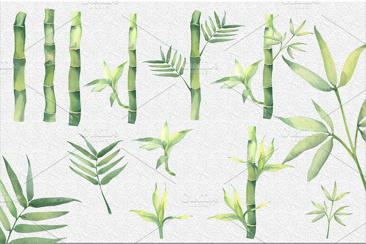 Set of watercolor pandas and bamboo, an Animal Illustration by Watercolor arts (Photo 2 of 3)