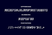 Agalenn font, a Serif Font by VectorCraft (Thumbnail 2 of 4)