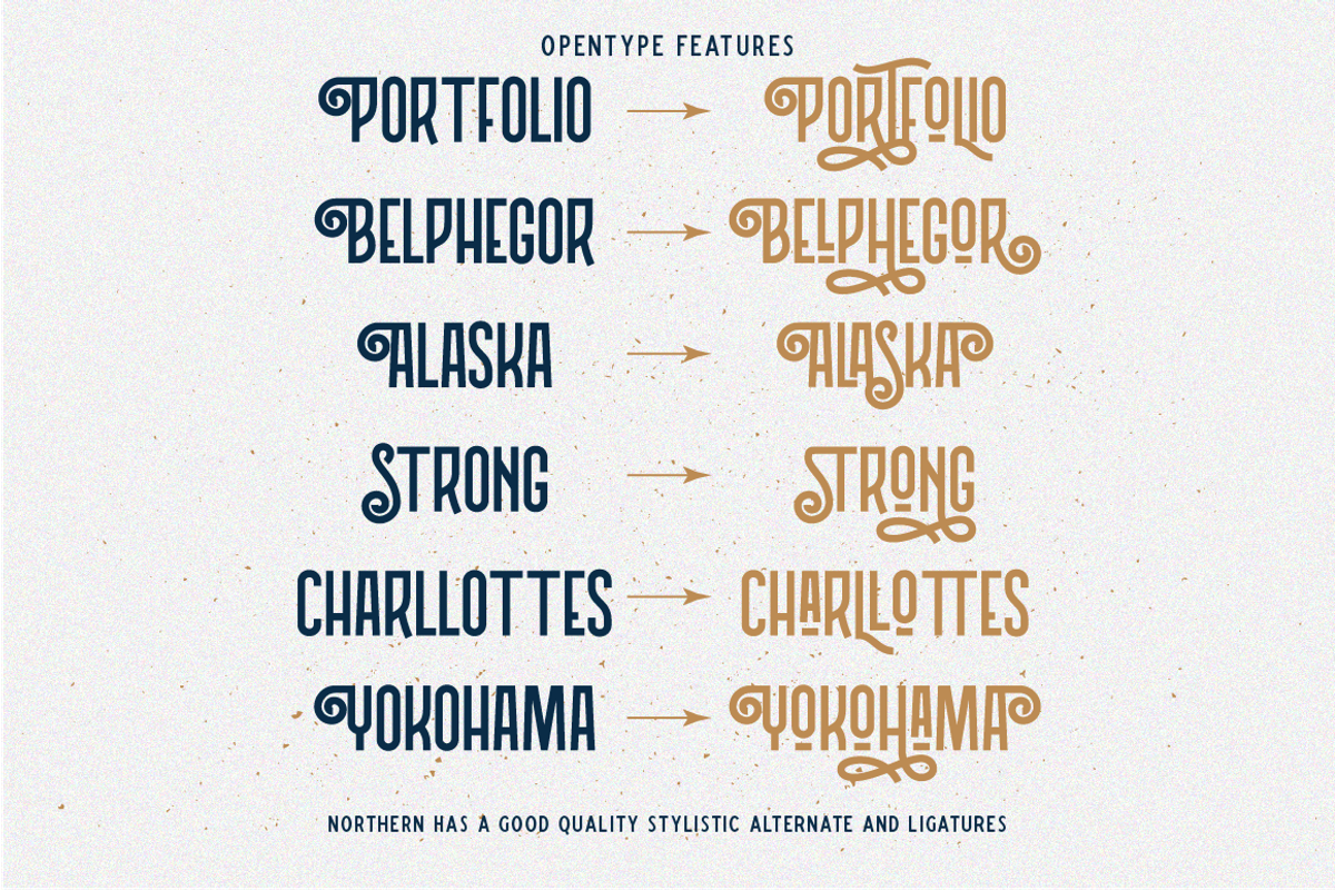 Northern Vintage Monoline Script preview 3
