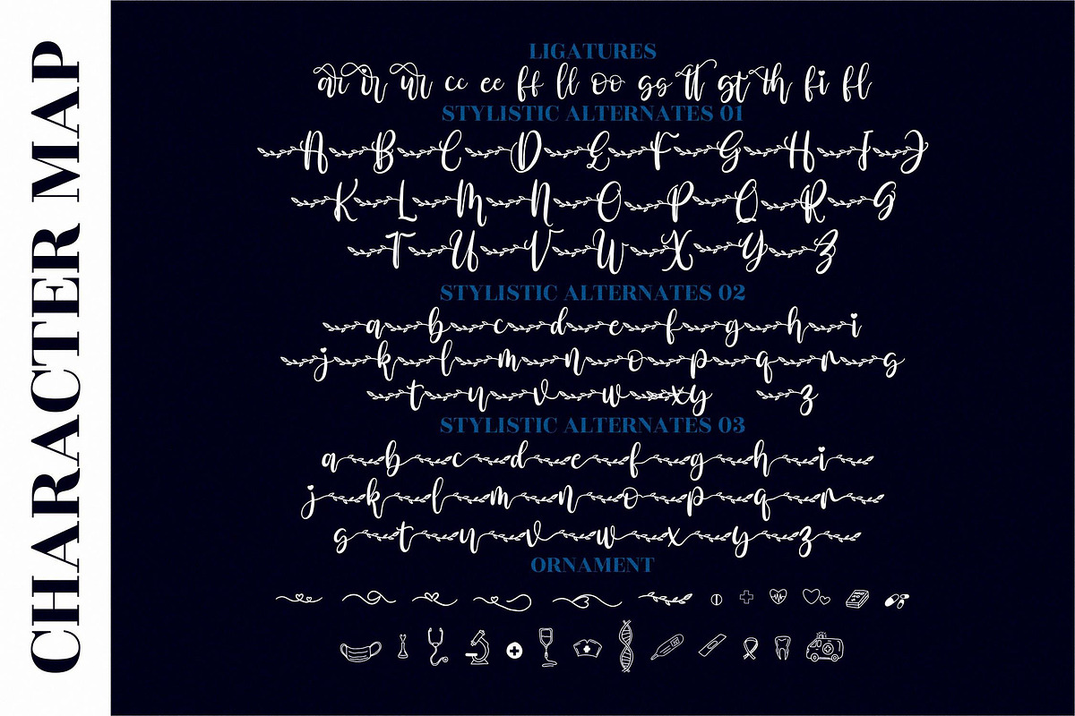 Amalia Nurse Script LS, a Script Font by GranzCreative (Photo 4 of 15)