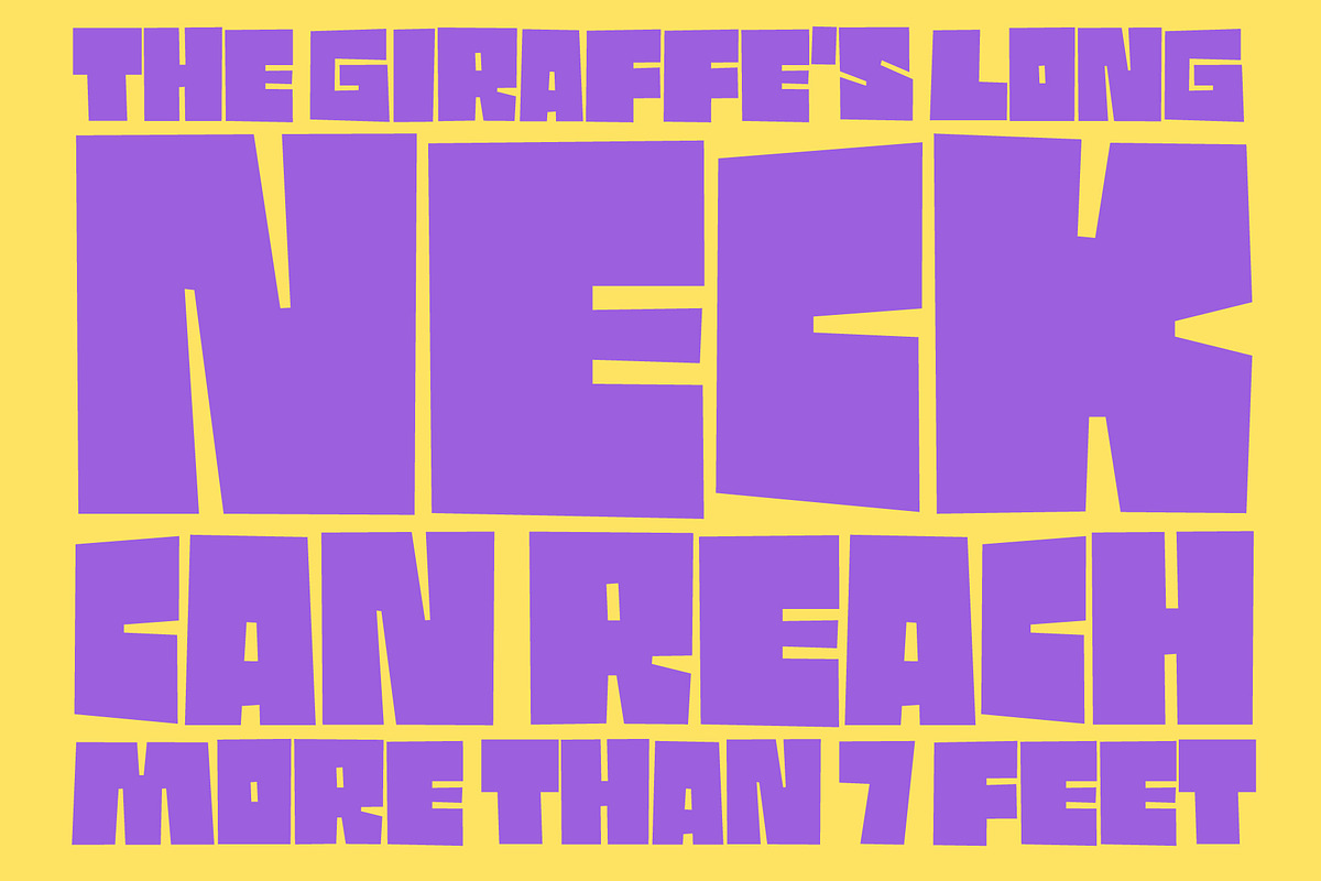 TOMO Pillo, a Sans Serif Font by TOMO Fonts (Photo 5 of 8)