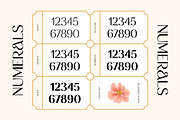 CARNELIAN - Display Variable Type, a Sans Serif Font by Artflorara (Thumbnail 13 of 16)