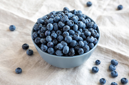Raw Organic Blueberries in a Bowl, side view., a Food & Drink Photo by LiudmylaChuhunova