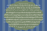 Floral Wish Handwritten Font, a Script Font by stylishtype.co (Thumbnail 17 of 20)