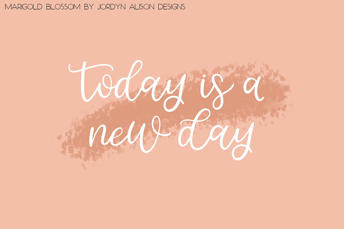 Marigold Blossom Script Font preview 3