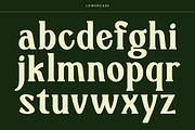 Jayadi - Branding Rounded Serif Font, a Serif Font by Pekotype (Thumbnail 5 of 14)