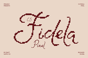 CS Fidela Pixel, a Handwritten Font by Craft Supply Co.