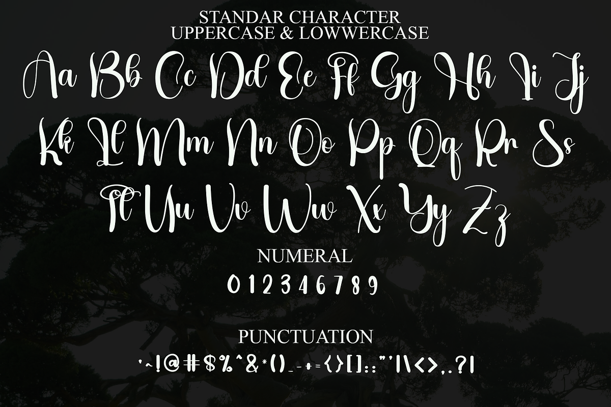 Autography, a Handwritten Font by FreshTypeINK (Photo 4 of 7)