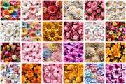 3D Flower Seamless Pattern, a Pattern Graphic by Forhadx5 (Thumbnail 3 of 13)